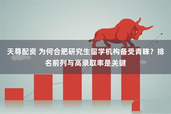 天尊配资 为何合肥研究生留学机构备受青睐？排名前列与高录取率是关键