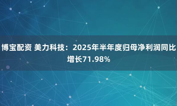 博宝配资 美力科技：2025年半年度归母净利润同比增长71.98%